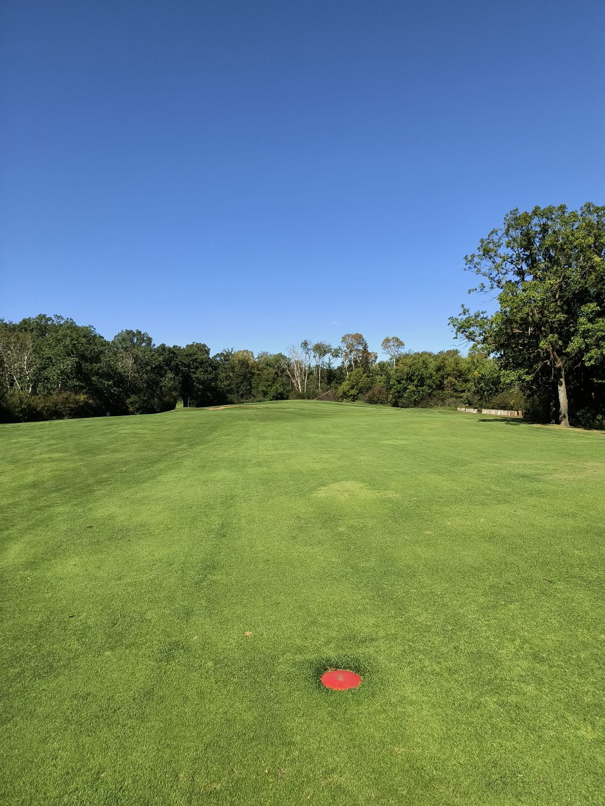 Course green